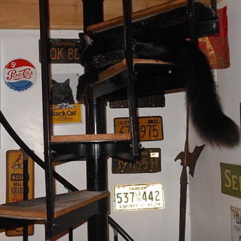 License Plate and Metal Signs And Carson's Sign - Advertising