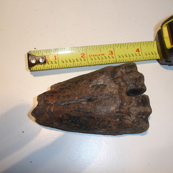 Prehistoric bone-tool - Animals