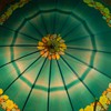 Vintage umbrella