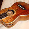Koa Wixom Concert Slotted Headstock...