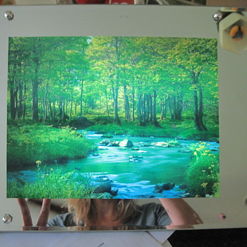 Peaceful River scene