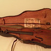violin