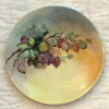 J&C Jaeger Bavarian China Plate - circa 1902