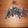 my keys
