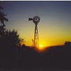 Windmill sunset