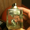 Mouse in Glass lighter