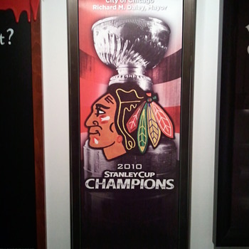 Chicago Blackhawks Stanley Cup Champs banner - Offical City of Chicago  - Hockey