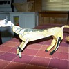 My little Horse? 