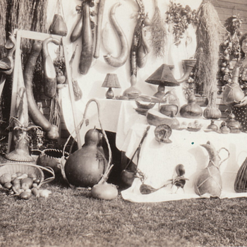 Click to Enlarge this Woman's GOURDS! - Postcards