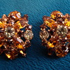Unsigned Clip On Earrings