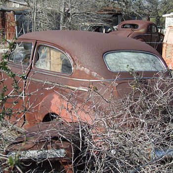 A Few More Photographs From Behind The Old House Down The Road - Photographs