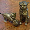 Cat and dog salt and pepper shakers