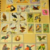 Postage Stamp Collection??