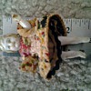 My great grandmother's doll