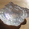 Unknown shell bowl from estate sale
