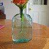 bottle i dug up