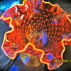 amberina glows under black light. 