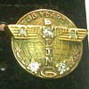 Boeing pins