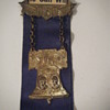 Democratic National Convention Badge