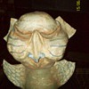 I Need Help Indentifying