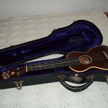 Ukulele case - Washburn, Chicago