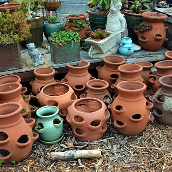 Growing Collection of Strawberry Pots