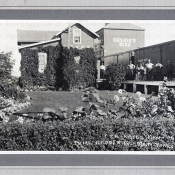 Prize winning Railway Gardens 1925