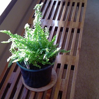 Slatted Table/Bench