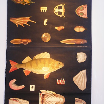 LOOKING FOR SOME INFO ON THIS ITEM!!! - Posters and Prints