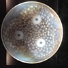 Pierre D'Avesn Bowl 