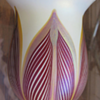 QUEZAL ART GLASS SHADE VASE, circa 1919