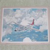 Lockheed Hercules C-130A Print