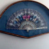 Beautiful Fans in cases
