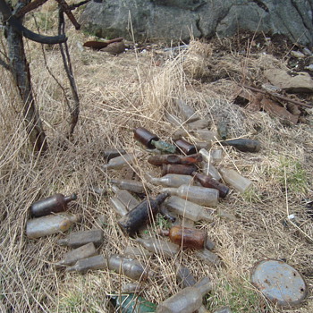just to show u  the dump   - Bottles