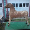 MINI HORSE