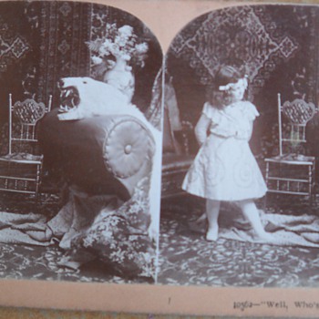 Antique Steroscope Images from 1875 & 1900 - Photographs