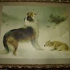 Early 20th Century Print "Found" by Walter Hunt: Border Collie and Lamb