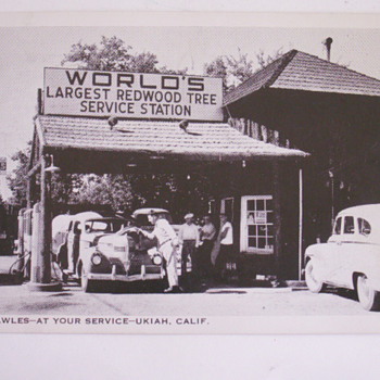World's Largest Redwood Tree Service Station