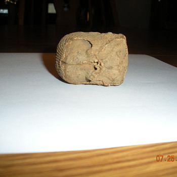 fossil head i found over 30 years ago