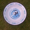 Enamel Dish with Panda design
