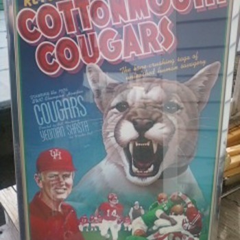 Houston University Cottonmouth Cougars Poster 1976 