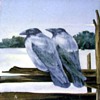 My old english or american "crow" tiles.