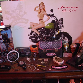Harley Davidson... A Few Of My Collectibles Through The Years Of Riding