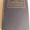 The Dark Flower by John Galsworthy,c1913