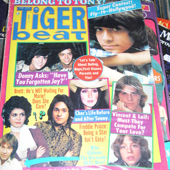 1970s' TIGER BEAT MAGAZINES TONY DE FRANCO DONNY OSMOND LEIF GARRETT - Paper