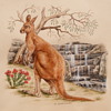 KANGAROO AT WATERFALL - M. DAVIDSON