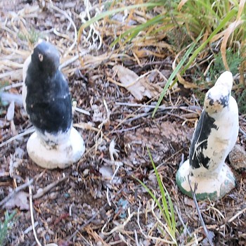 A Pair of Plaster Penguins Perfectly Placed - Animals