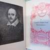 Tales from Shakespeare by the Lambs
