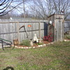 new pic of around the outhouse