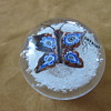Murano Art Glass Paperweights with Butterfly Design